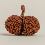 Gauri Shankar Rudraksha