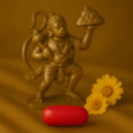 6.1 Carat Natural Red Coral (Moonga)